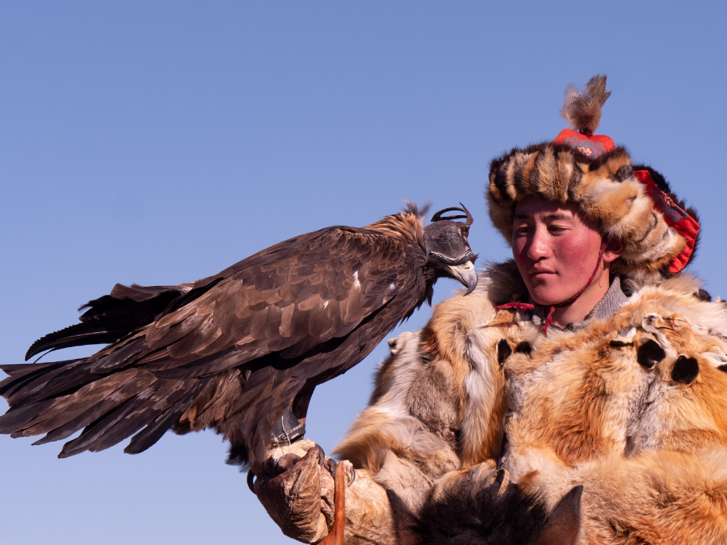 To Dream Of Catching An Eagle dream of catching an eagle