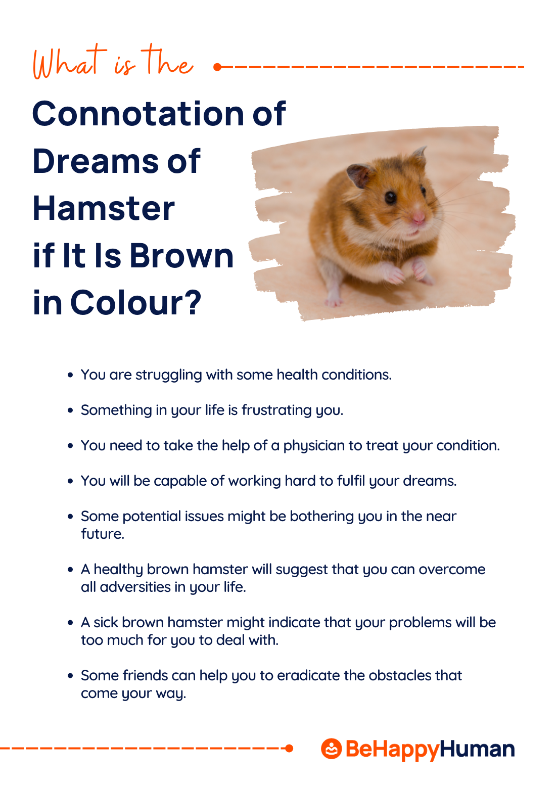 What Is The Connotation Of Dreams Of Hamster If It Is Brownin Colour What Is The Connotation Of Dreams Of Hamster If It Is Brownin Colour