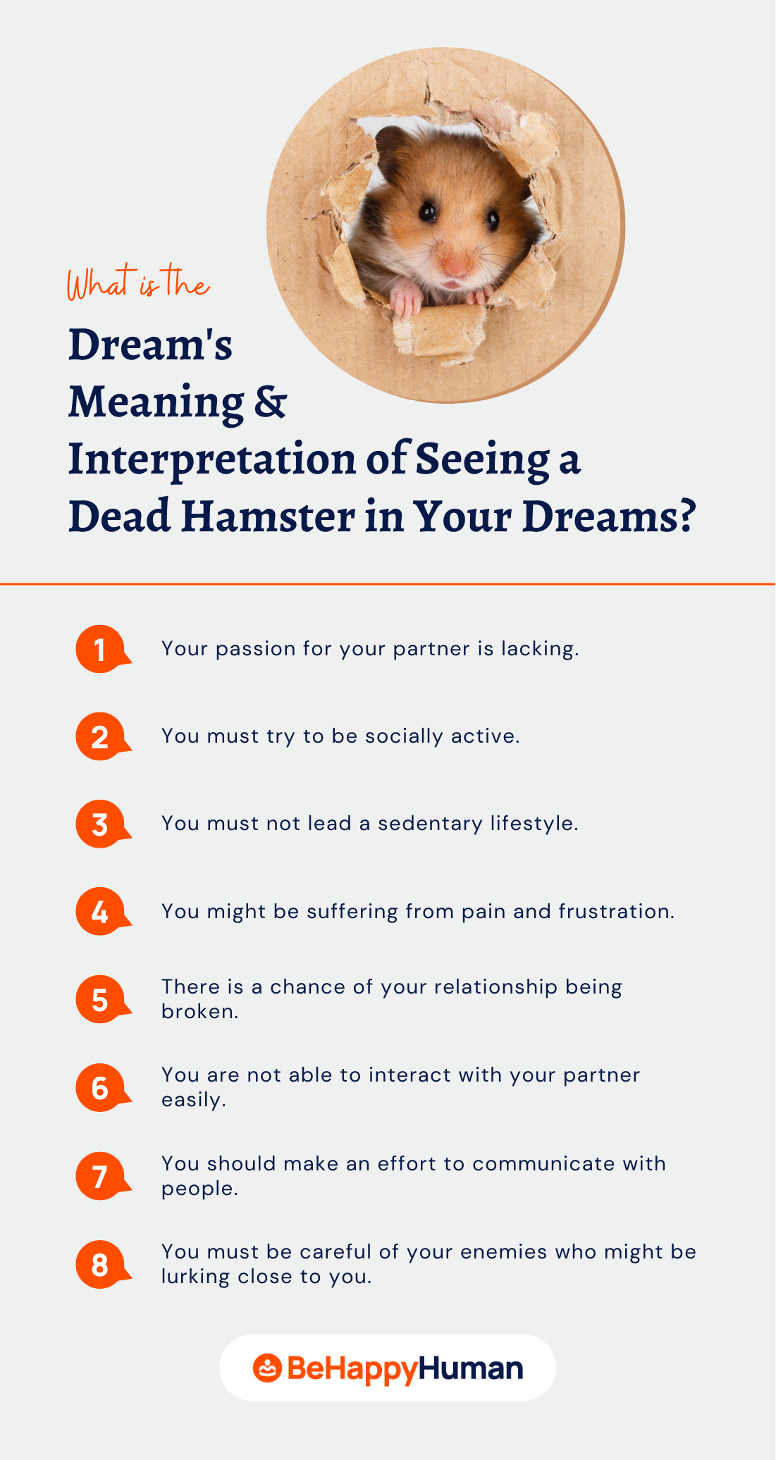 What Is The Dreams Meaning And Interpretation Of Seeing A Dead Hamster In Your Dreams What Is The Dreams Meaning And Interpretation Of Seeing A Dead Hamster In Your Dreams