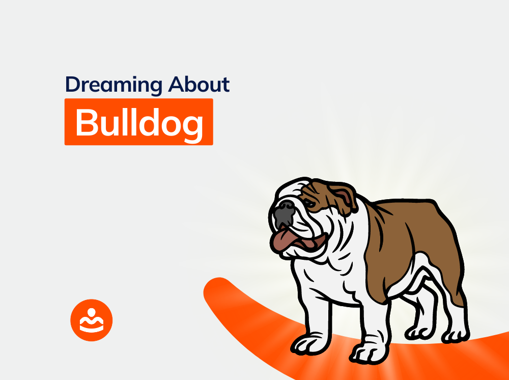 55+ Dream of Bulldog Meanings and Interpretations