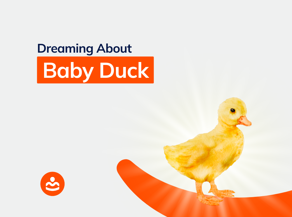 53+ Dreaming of Baby Duck Meanings and Interpretations BeHappyHuman