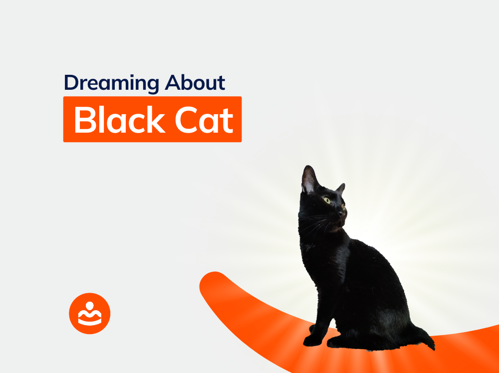 57-dreaming-about-black-cat-biblical-and-spiritual-meaning