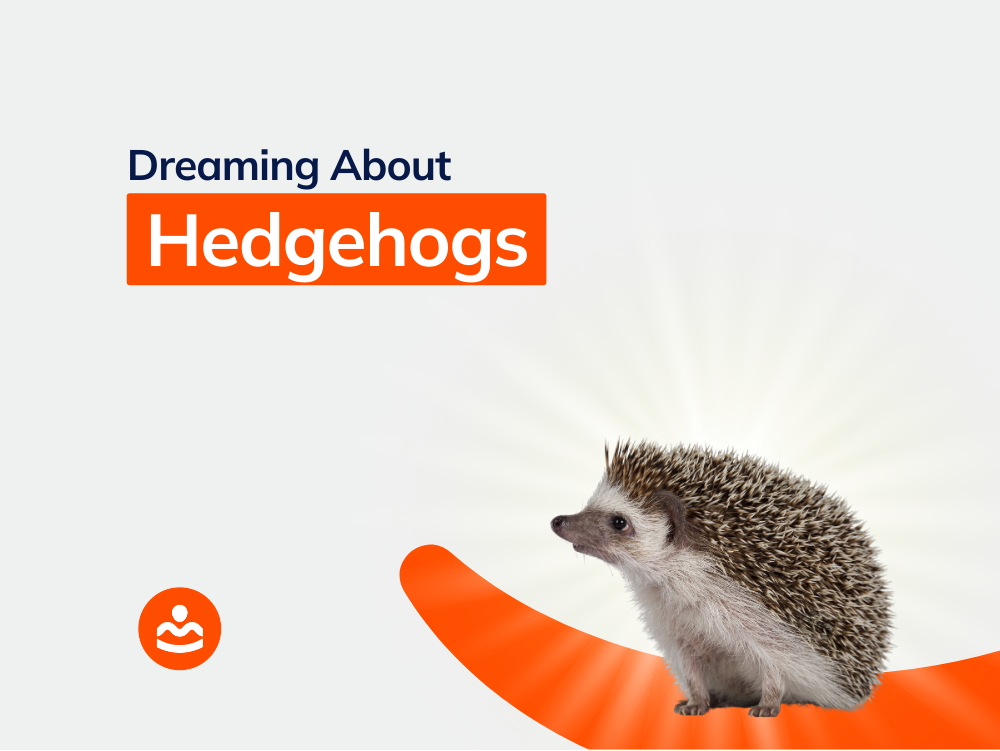 Dreaming of Hedgehogs 57+ Meanings and Interpretations BeHappyHuman