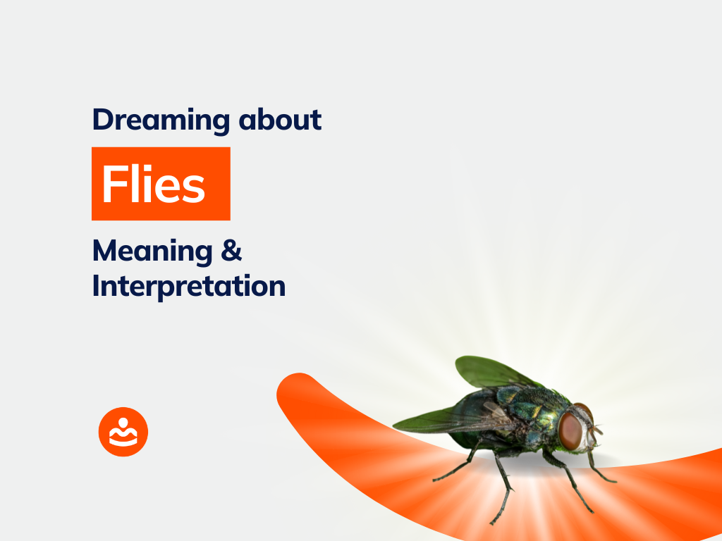 What Does It Mean When You Have A Dream About Flies