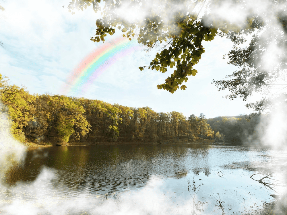 Dream Of A Rainbow Above A Pond Dream Of A Rainbow Above A Pond