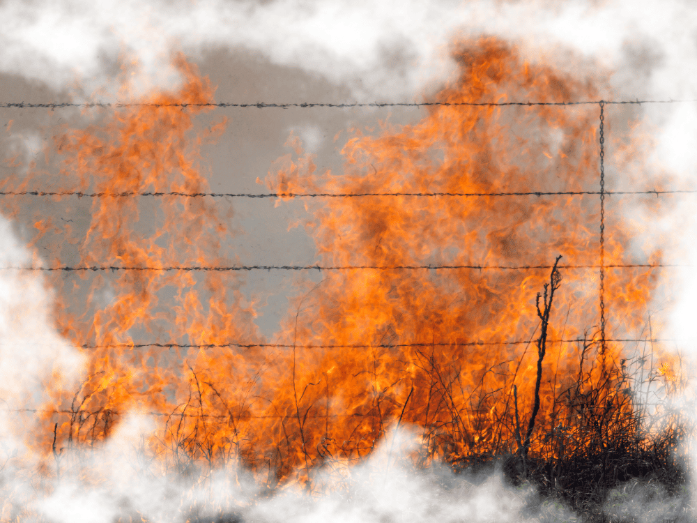 Dream Of Burning A Fence Dream Of Burning A Fence