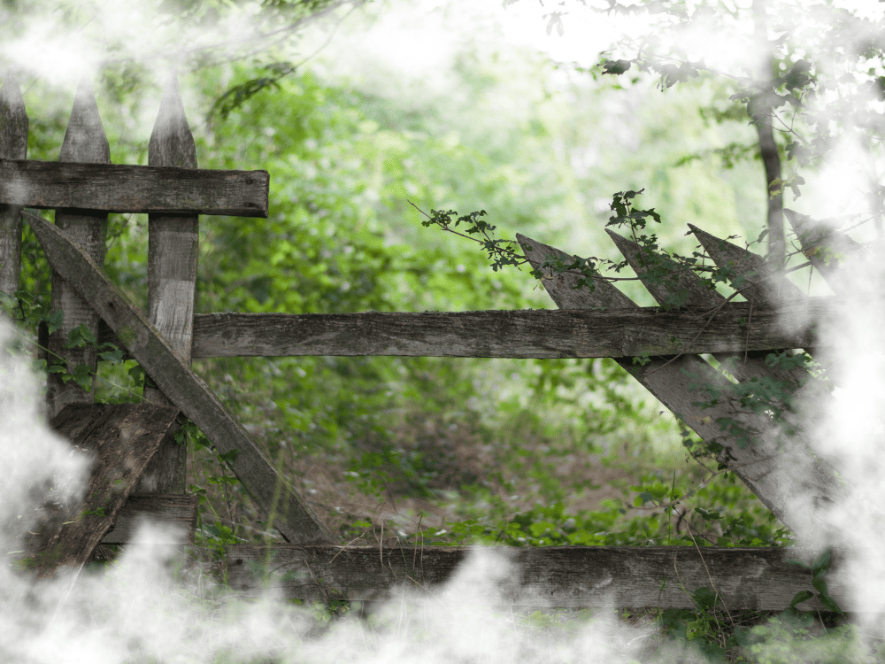 Dream Of Fence Taken Down Dream Of Fence Taken Down