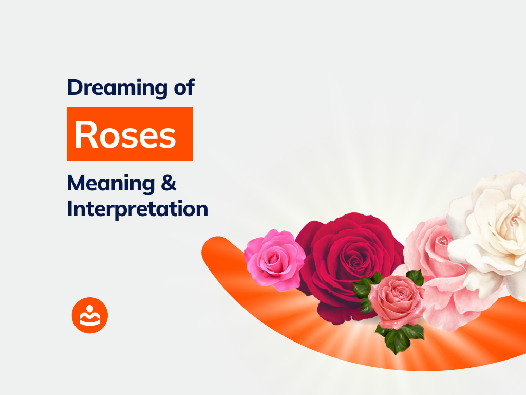 41+ Dreaming of Roses Meanings and Interpretations BeHappyHuman