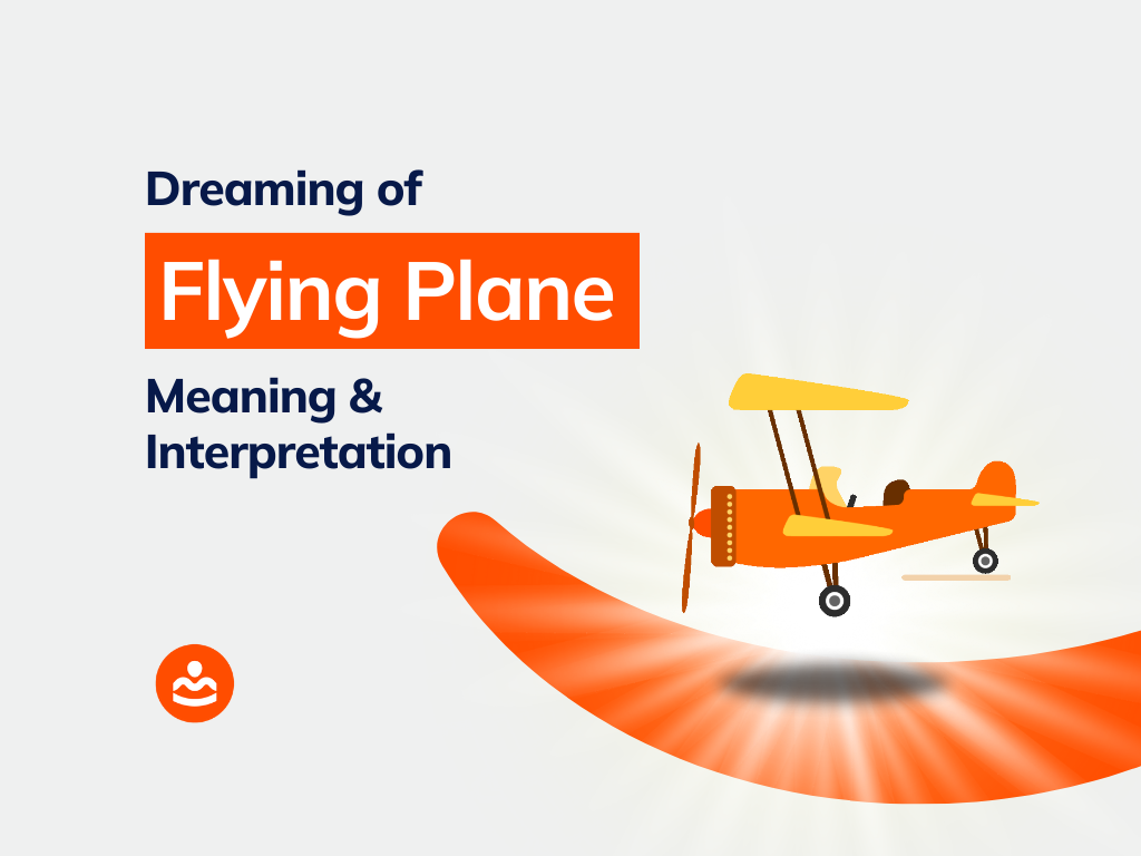 Dreaming of Flying a Plane 29+ Meanings and Interpretation BeHappyHuman